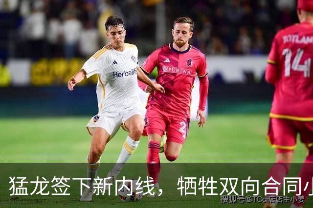 猛龙签下新内线，牺牲双向合同小将，篮球江湖再起波澜！